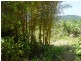 Millaa Millaa QLD 4886