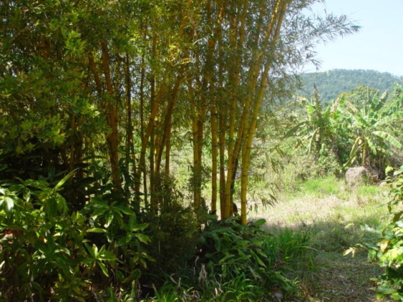 Millaa Millaa QLD 4886