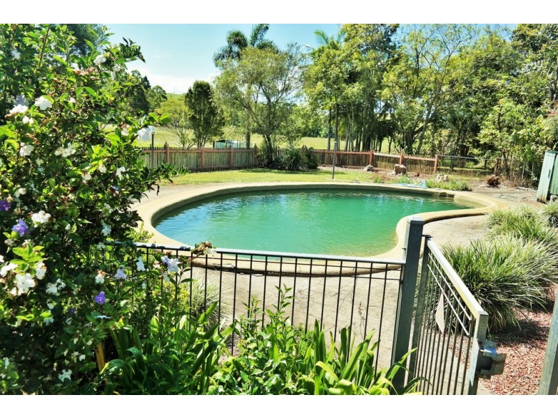 Tarzali QLD 4885