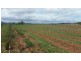 Mareeba QLD 4880