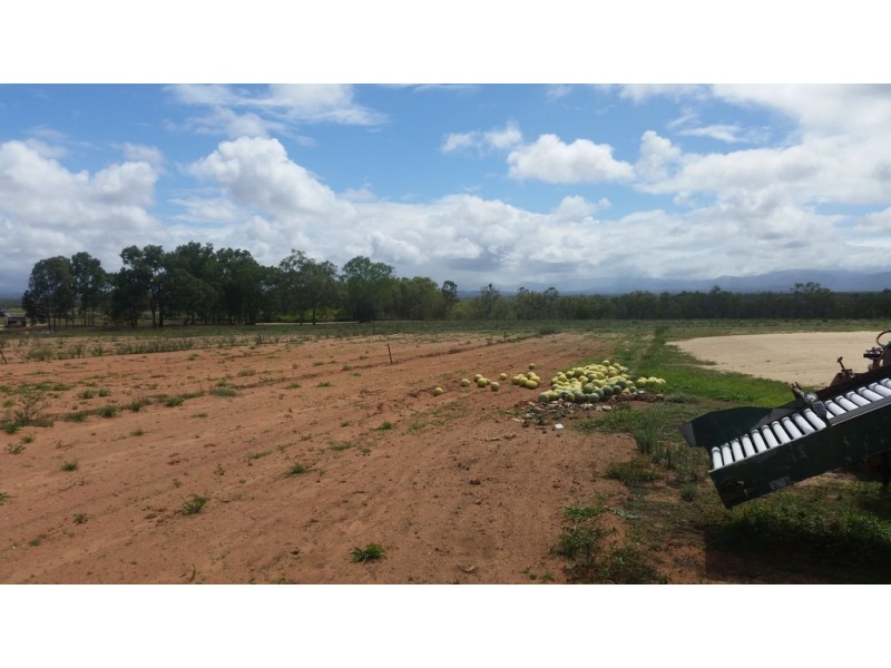 Mareeba QLD 4880