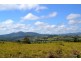 Millaa Millaa QLD 4886
