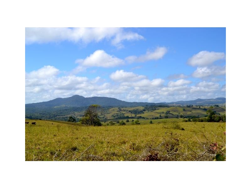 Millaa Millaa QLD 4886