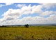 Millaa Millaa QLD 4886