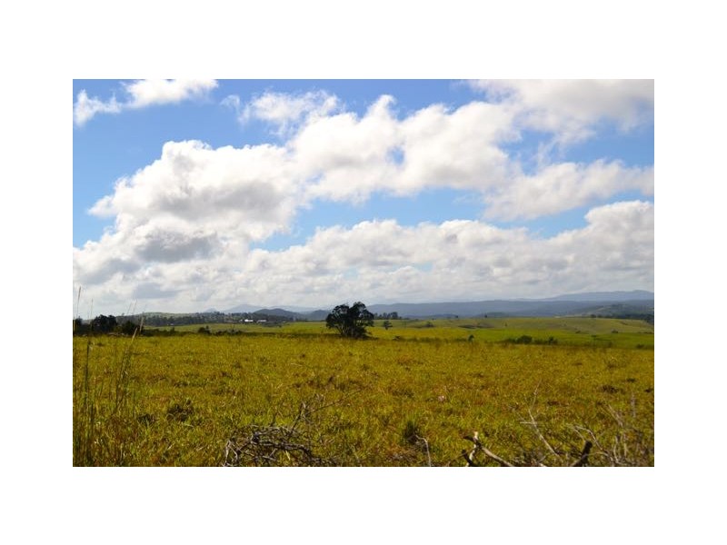 Millaa Millaa QLD 4886