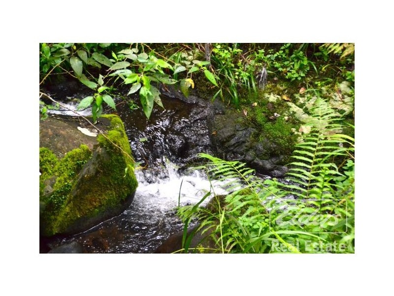 Millaa Millaa QLD 4886