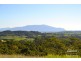 Millaa Millaa QLD 4886