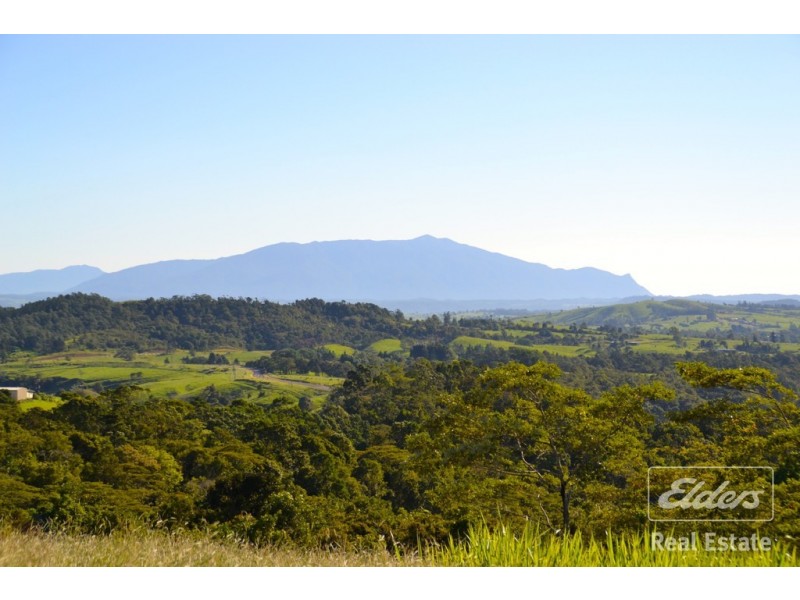 Millaa Millaa QLD 4886