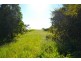 Millaa Millaa QLD 4886