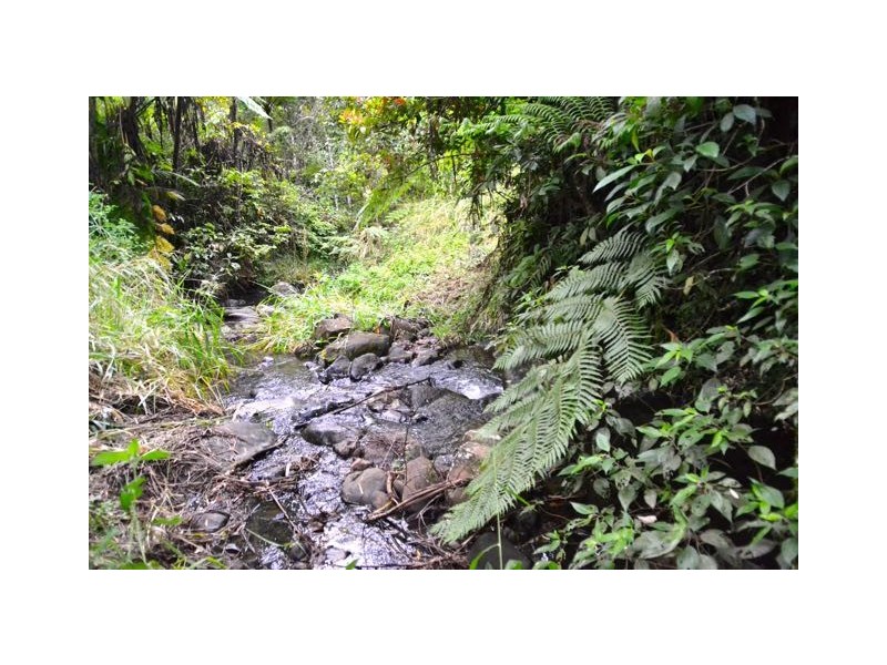 Millaa Millaa QLD 4886