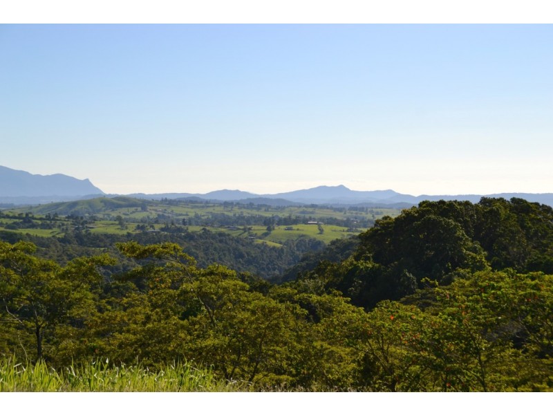 Millaa Millaa QLD 4886