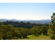 Millaa Millaa QLD 4886