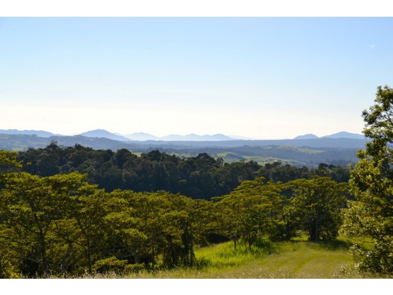Millaa Millaa QLD 4886