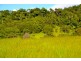 Millaa Millaa QLD 4886