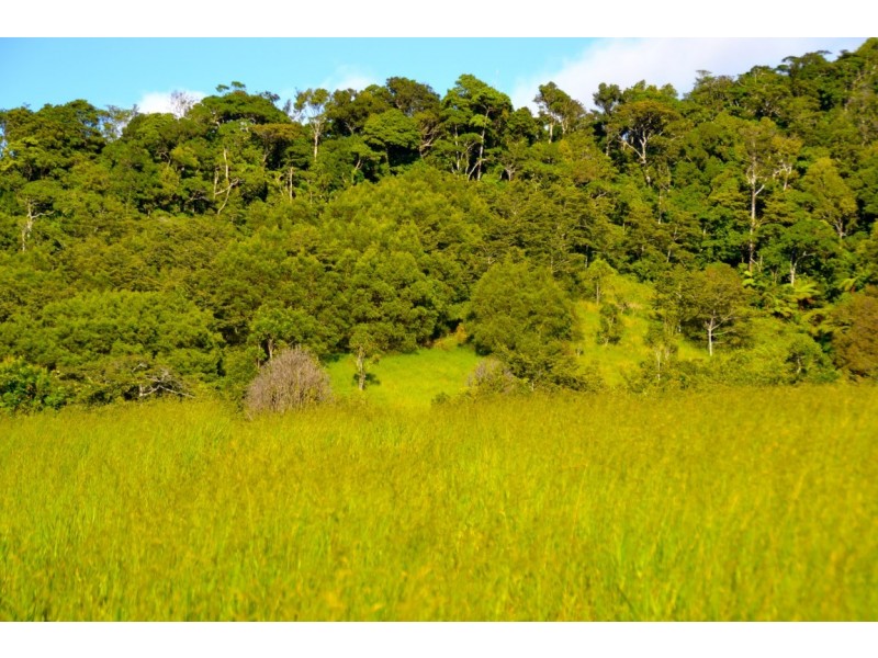 Millaa Millaa QLD 4886