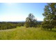 Millaa Millaa QLD 4886