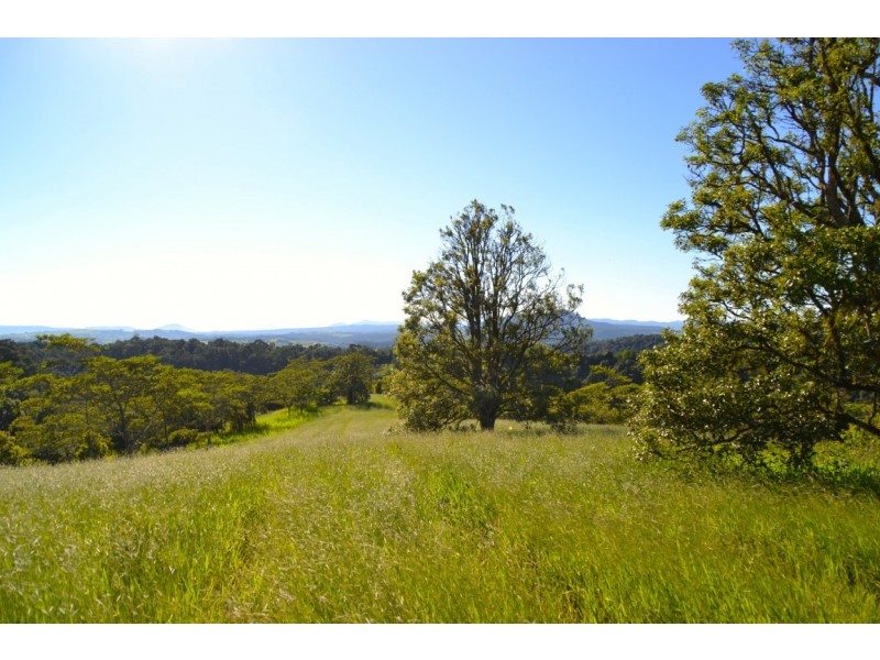 Millaa Millaa QLD 4886
