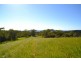 Millaa Millaa QLD 4886