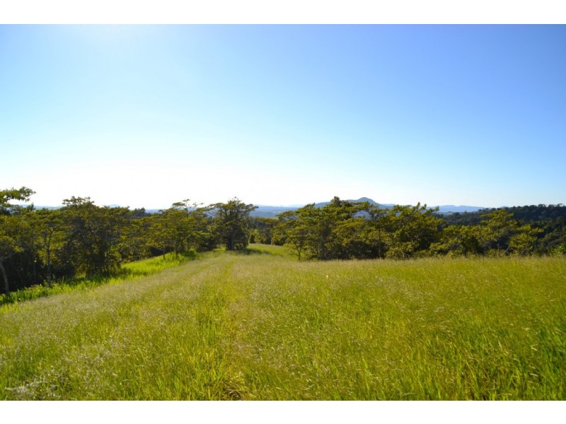 Millaa Millaa QLD 4886