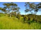 Millaa Millaa QLD 4886