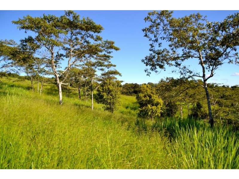 Millaa Millaa QLD 4886