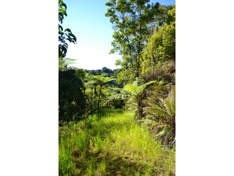 Millaa Millaa QLD 4886