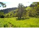Millaa Millaa QLD 4886