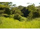 Millaa Millaa QLD 4886