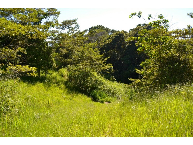 Millaa Millaa QLD 4886
