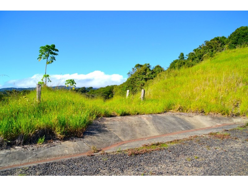 Millaa Millaa QLD 4886