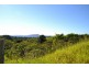 Millaa Millaa QLD 4886