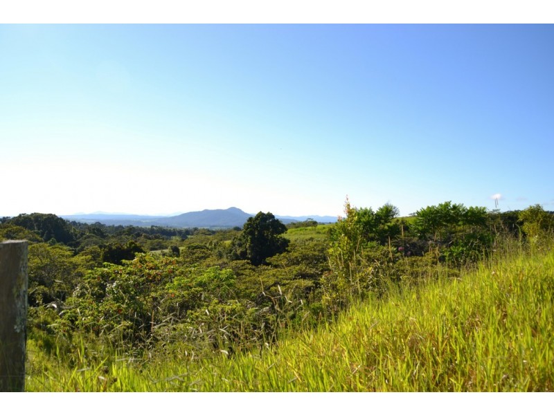 Millaa Millaa QLD 4886