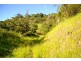 Millaa Millaa QLD 4886