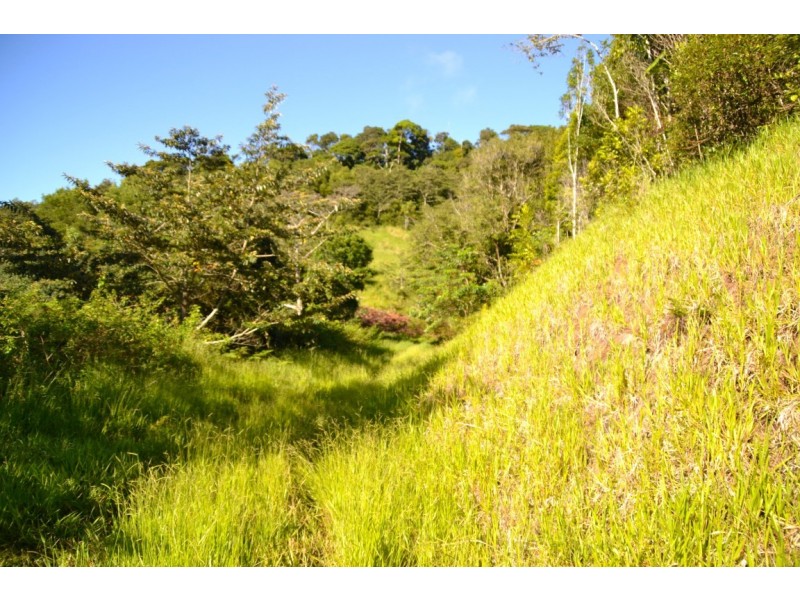 Millaa Millaa QLD 4886