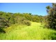 Millaa Millaa QLD 4886
