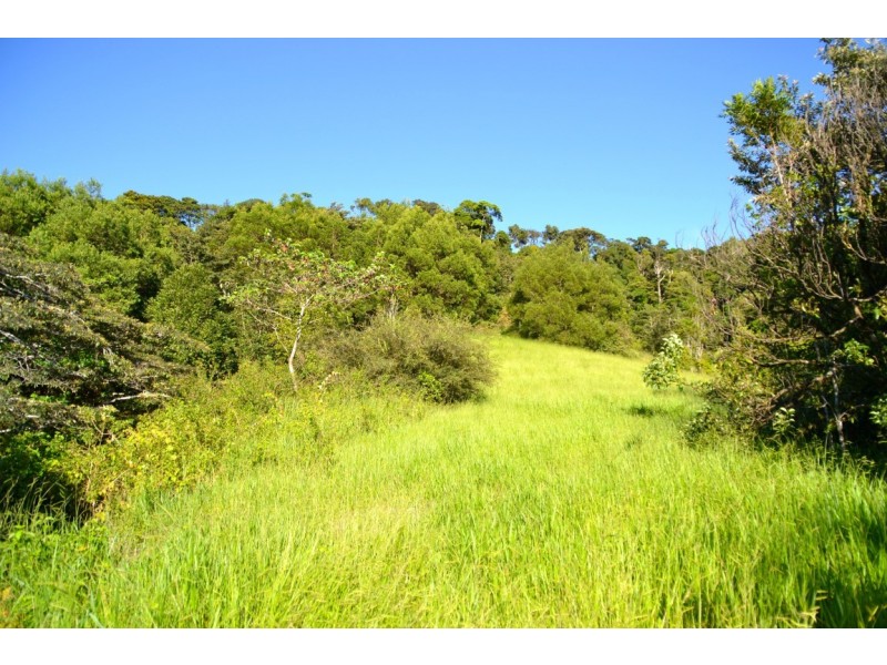 Millaa Millaa QLD 4886