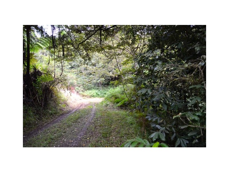 Millaa Millaa QLD 4886
