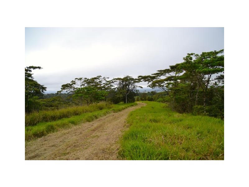 Millaa Millaa QLD 4886