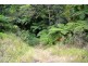 Millaa Millaa QLD 4886
