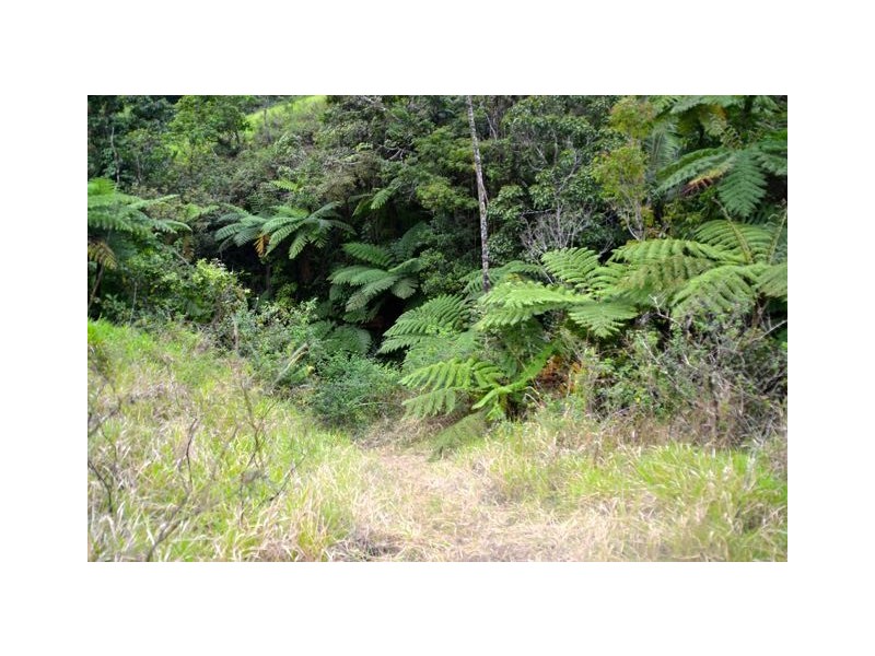 Millaa Millaa QLD 4886
