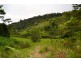 Millaa Millaa QLD 4886