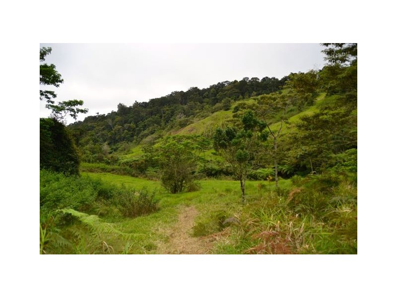 Millaa Millaa QLD 4886