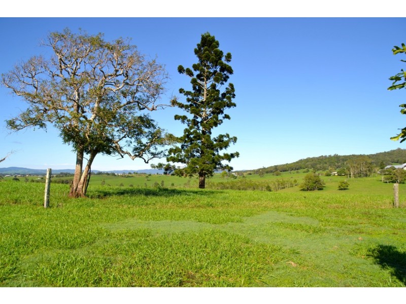 Lake Eacham QLD 4884