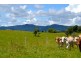 Malanda QLD 4885