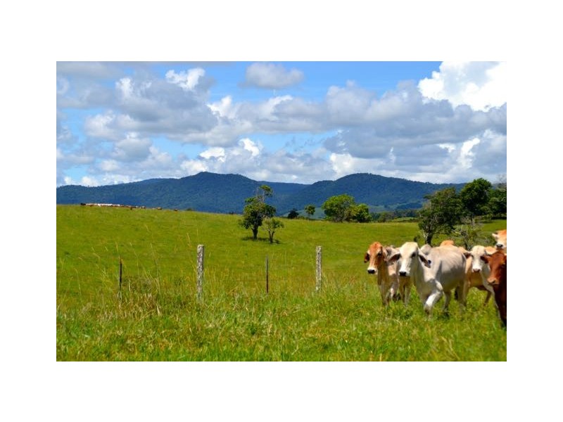 Malanda QLD 4885