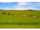 Malanda QLD 4885