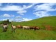 Malanda QLD 4885