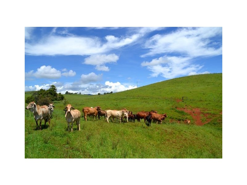 Malanda QLD 4885