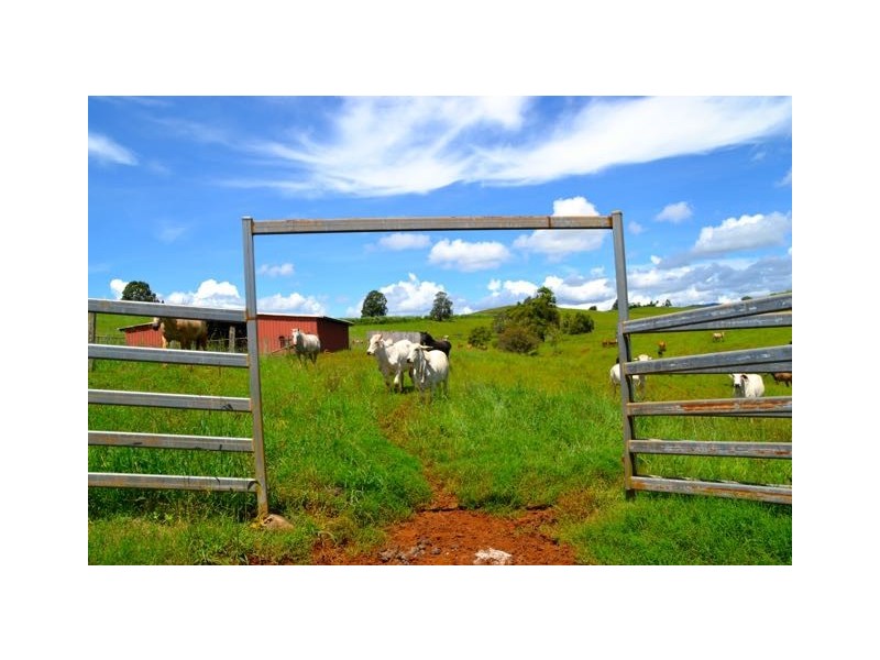 Malanda QLD 4885
