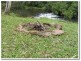 Ravenshoe QLD 4888